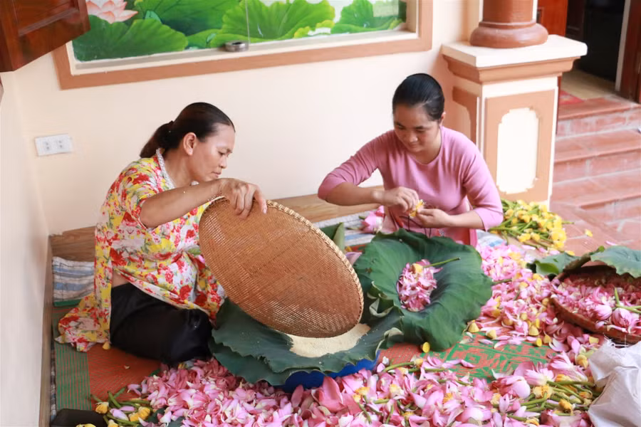 Chàng kỹ sư bén duyên với nghề ướp trà ảnh 4