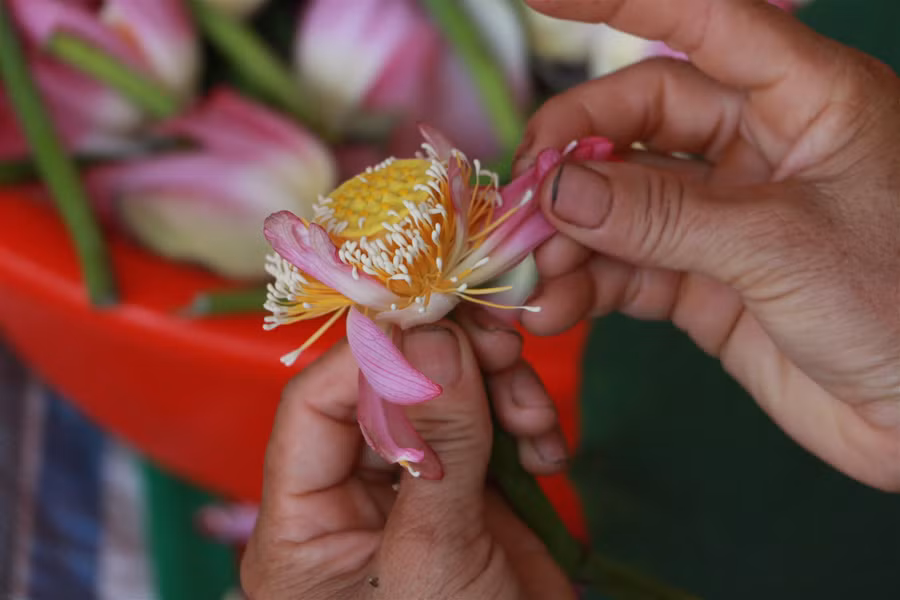 Chàng kỹ sư bén duyên với nghề ướp trà ảnh 2