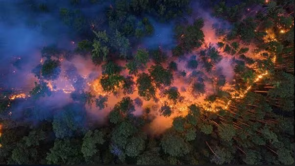 Những bức ảnh đẹp nhất trong tuần ảnh 12