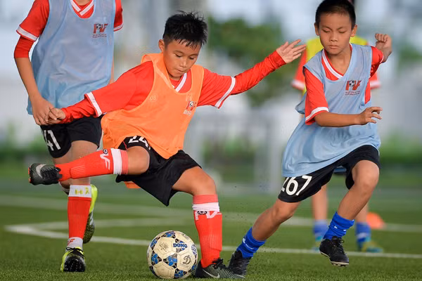 PVF tuyển sinh khóa 12, tìm kiếm tài năng bóng đá trẻ