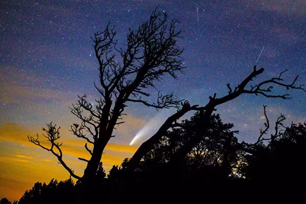 Những bức ảnh đẹp nhất trong tuần