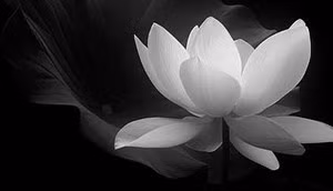 Bốn điều khiến bạn dễ khánh kiệt, cả đời nghèo khó