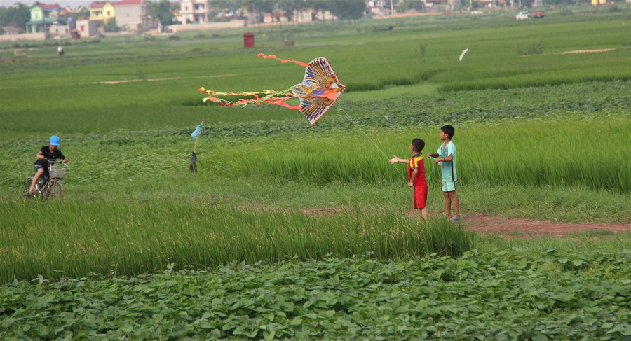 Về Kha Sơn xem cả làng đâm diều ảnh 2