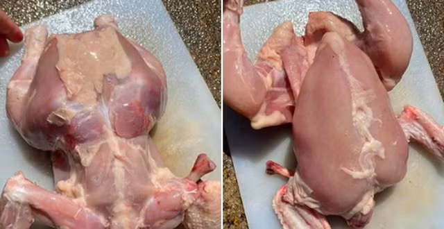 Kinh hãi công thức 4 bước làm gà... trụi sạch da