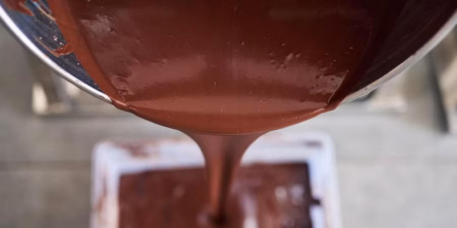 Giống ca cao thuần chủng làm mê hoặc nhân loại ảnh 2