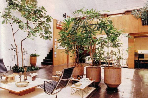 Tiểu Vy - Hoa hậu thần thái nhất Việt Nam ảnh 4 Tiểu Vy - Hoa hậu thần thái nhất Việt Nam ảnh 4