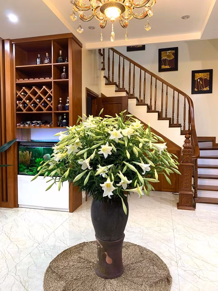 Ngẩn ngơ ngắm trăm kiểu cắm hoa loa kèn đẹp tinh khôi của chị em ảnh 12