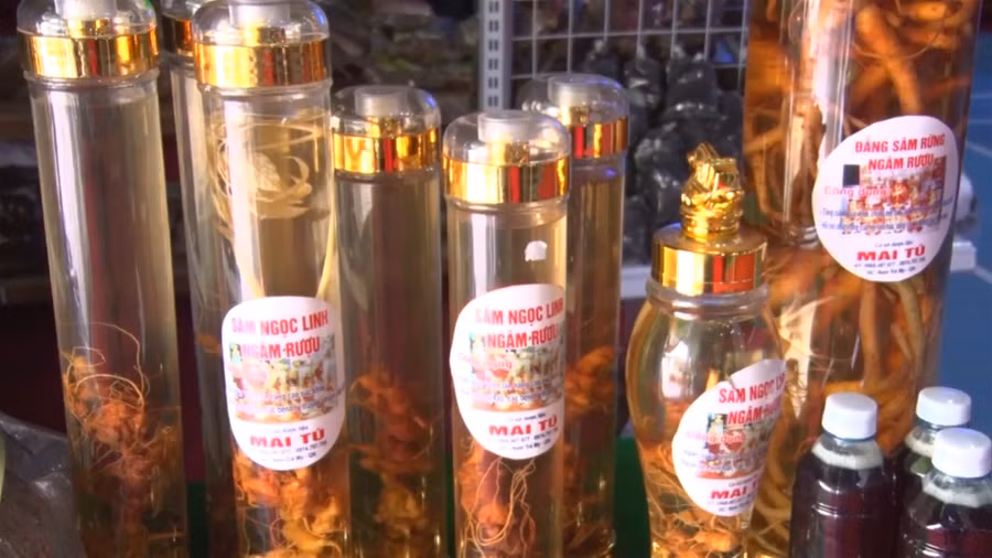 Thu về gần 4 tỷ đồng ở phiên chợ sâm Ngọc Linh ảnh 1