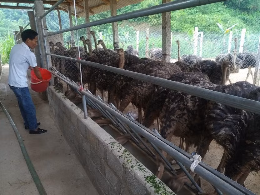 Thái Nguyên: Xây dựng nông thôn mới có điểm khởi đầu nhưng không có điểm kết thúc