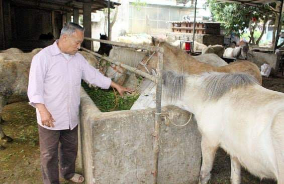 Phú Bình (Thái Nguyên): Hoàn thành nhiệm vụ xây dựng NTM, về đích trước kế hoạch ảnh 1