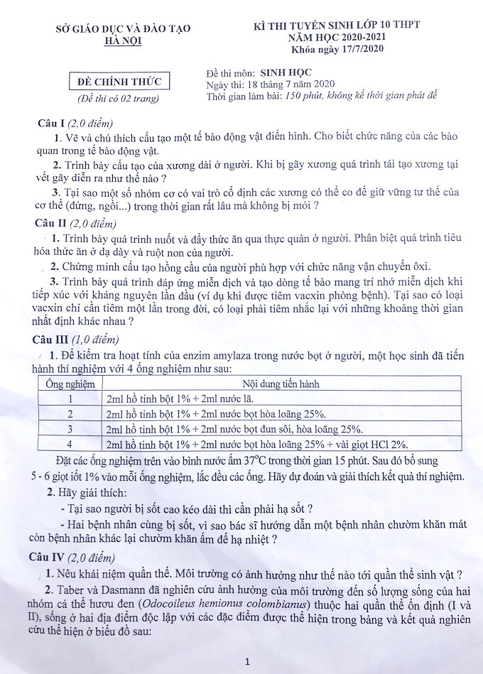 Cuộc chiến chống dịch Covid-19 vào đề Văn chuyên Hà Nội ảnh 4