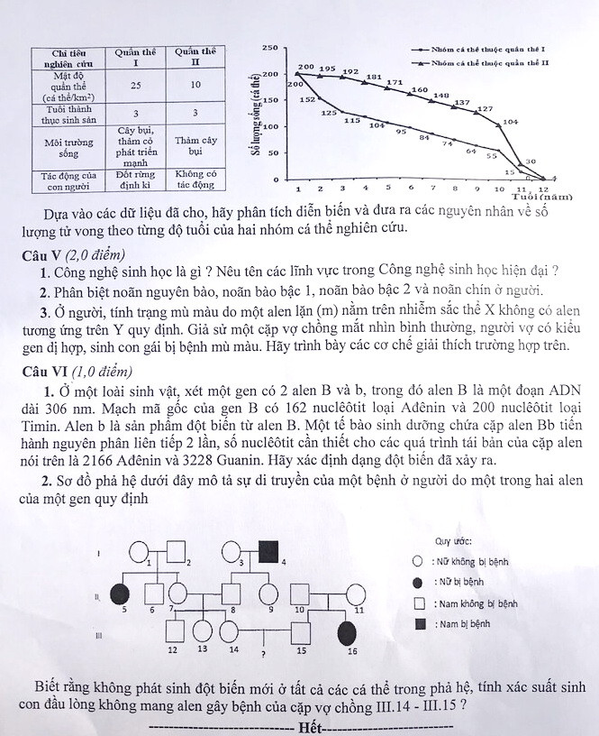 Cuộc chiến chống dịch Covid-19 vào đề Văn chuyên Hà Nội ảnh 5
