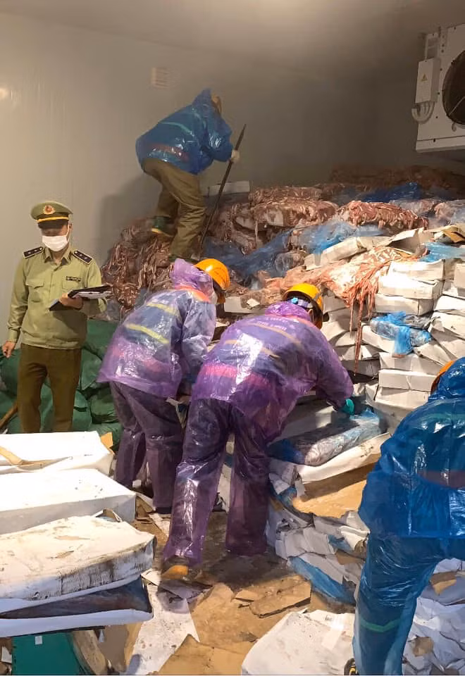 Phát hiện hơn 72 tấn lòng lợn bốc mùi không rõ nguồn gốc ảnh 1