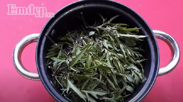 Bí quyết xông hơi thải độc bằng lá đinh lăng giúp da mịn đẹp bất chấp nắng nóng, bụi bẩn ảnh 5