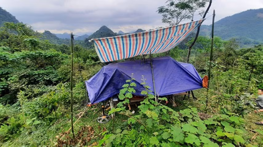 Yên Bái: Lớp học online lưng chừng núi của học sinh tiểu học ảnh 1