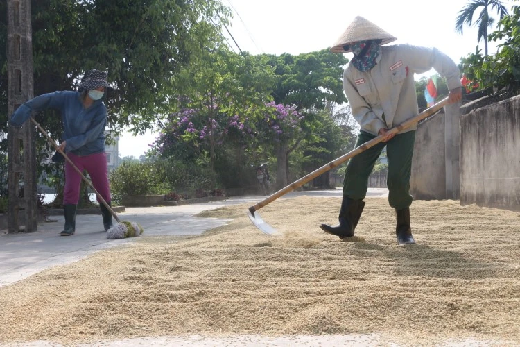 Người Vĩnh Thành thực hiện di huấn của Bác