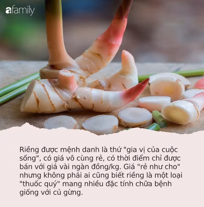 Thuốc quý chống 8 bệnh ung thư ở một loại củ "rẻ như cho" tại Việt Nam ít ai ngờ tới ảnh 1