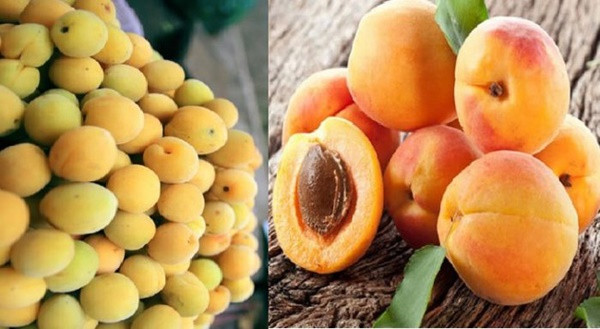 4 loại thực phẩm đầu bảng có thể giúp giảm nguy cơ mắc ung thư