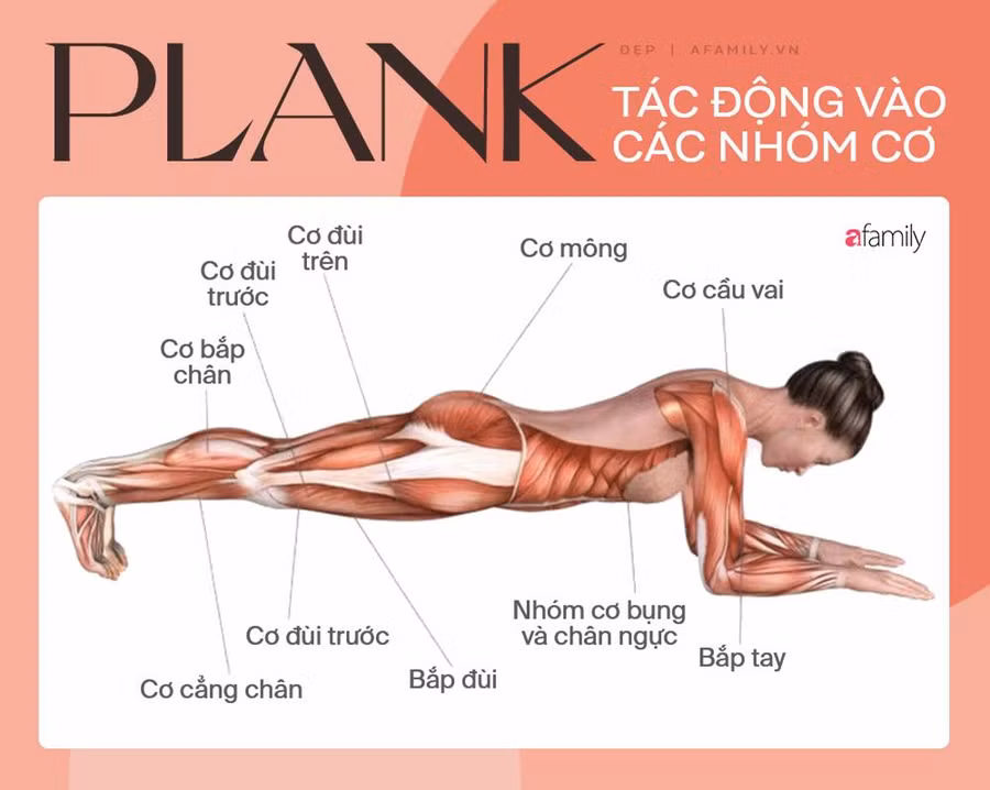 Động tác đơn giản "hiệu nghiệm" gấp 100 lần gập bụng, chưa đến 2 tuần bạn sẽ có vòng eo săn chắc ảnh 2