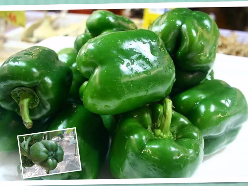 Những thực phẩm giàu vitamin C hơn cả cam, tốt cho cơ thể ảnh 1