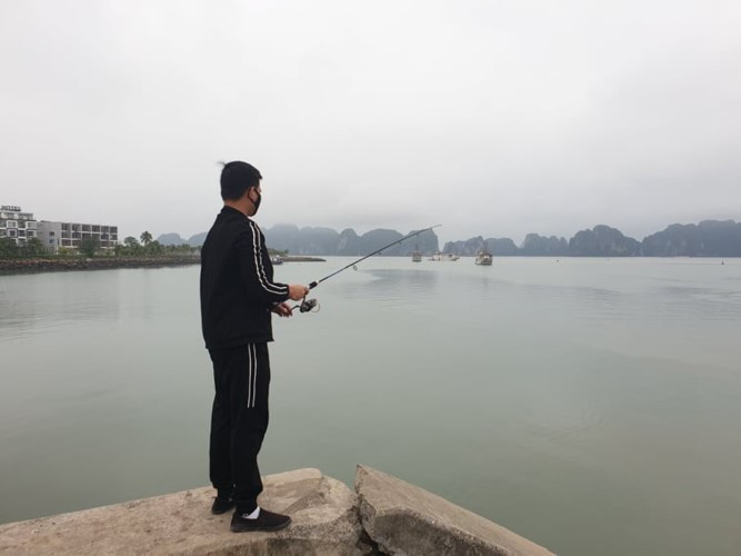 Tạm dừng tham quan vịnh Hạ Long: Tàu “nín thở” nằm bờ, nhân viên “cầm hơi” vì đại cục ảnh 1 Tạm dừng tham quan vịnh Hạ Long: Tàu “nín thở” nằm bờ, nhân viên “cầm hơi” vì đại cục ảnh 1