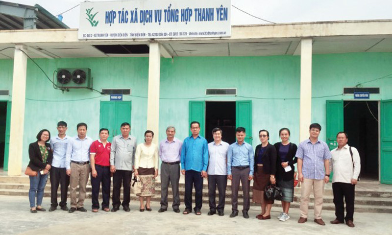 Kỹ sư trẻ khởi nghiệp từ hạt gạo Điện Biên ảnh 1 Kỹ sư trẻ khởi nghiệp từ hạt gạo Điện Biên ảnh 1