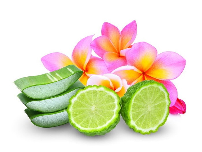 Những nguyên liệu rẻ như cho giúp tóc rụng tả tơi cũng suôn mềm, dày mượt ảnh 1 Những nguyên liệu rẻ như cho giúp tóc rụng tả tơi cũng suôn mềm, dày mượt ảnh 1