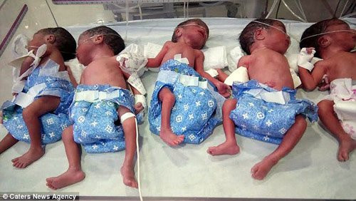 Đinh ninh mang thai một, mẹ sốc nặng khi... đẻ mãi không hết con