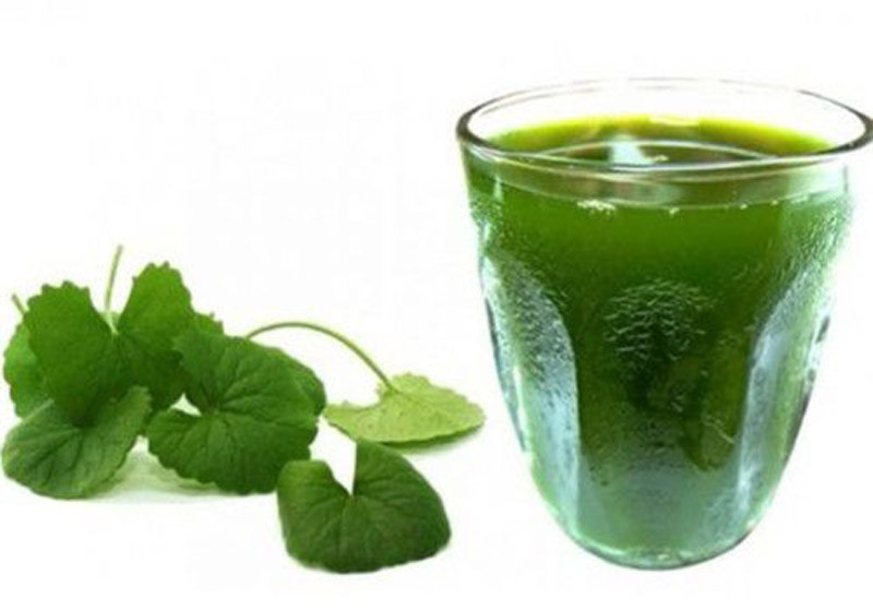 5 loại nước uống là "thần dược" trị mụn, làm đẹp da chị em nào cũng nên biết ảnh 1 5 loại nước uống là "thần dược" trị mụn, làm đẹp da chị em nào cũng nên biết ảnh 1