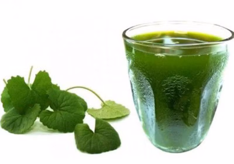 5 loại nước uống là "thần dược" trị mụn, làm đẹp da chị em nào cũng nên biết ảnh 1