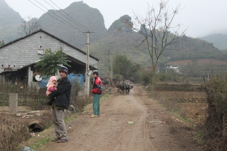 Người Tày – Nùng lo nhà sàn cổ “tuyệt chủng” ảnh 1