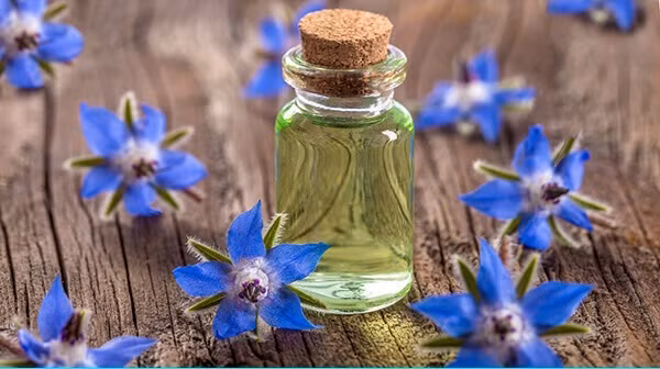 6 thực phẩm “khắc tinh” của bệnh nha chu ảnh 2