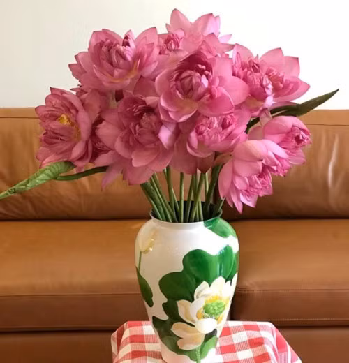 Mẹo đơn giản phân biệt chính xác hoa sen và hoa quỳ ảnh 3