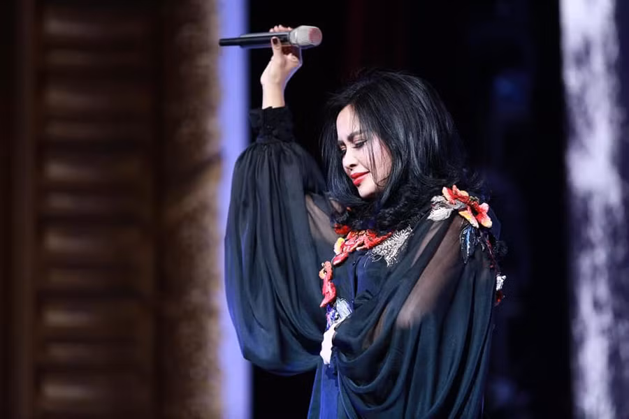 Đêm nhạc Phó Đức Phương - Khúc hát phiêu ly trọn vẹn cảm xúc ảnh 2