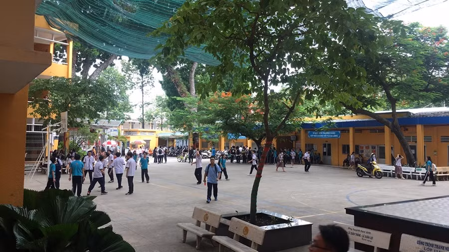 Làm sao vừa giữ mảng xanh trường học, vừa bảo đảm an toàn cho học sinh? ảnh 1