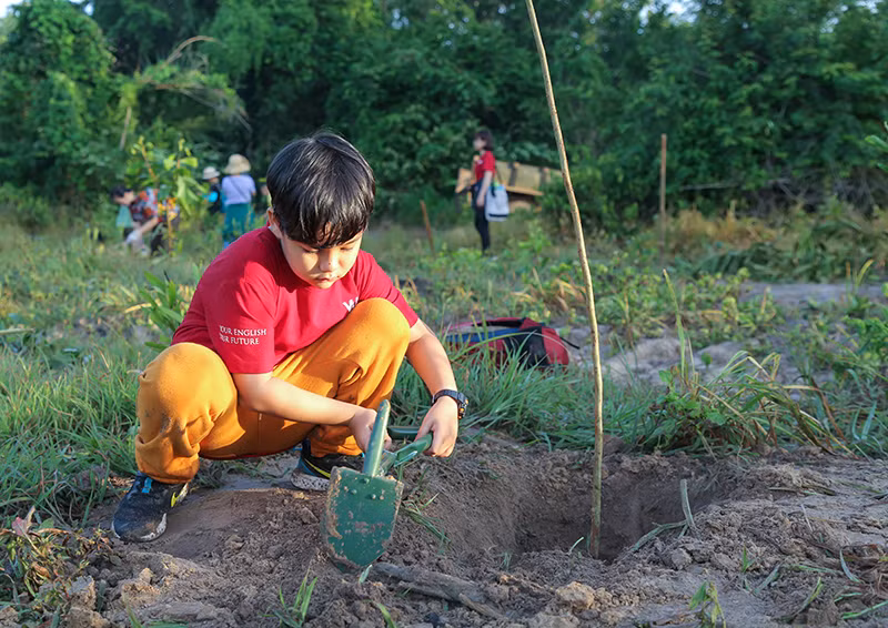 Học viên VUS chạy bộ góp phần trồng rừng ảnh 1