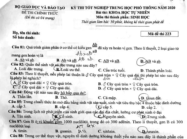 Gợi ý đáp án toàn bộ 24 mã đề môn Sinh học kỳ thi tốt nghiệp THPT 2020