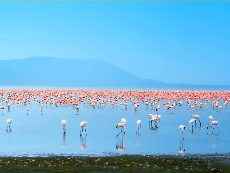 Vịnh Hạ Long lọt top 50 kỳ quan thiên nhiên đẹp nhất thế giới ảnh 5