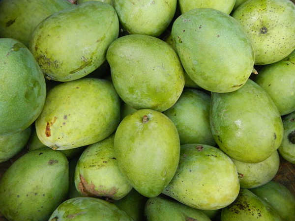 8 lợi ích tuyệt vời của xoài xanh ảnh 1 8 lợi ích tuyệt vời của xoài xanh ảnh 1