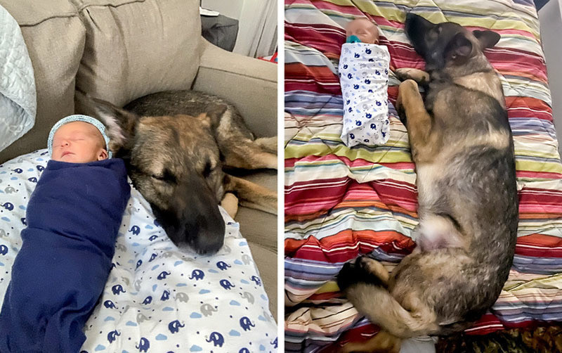 Những bức ảnh về tình yêu đích thực chạm đến trái tim ảnh 12