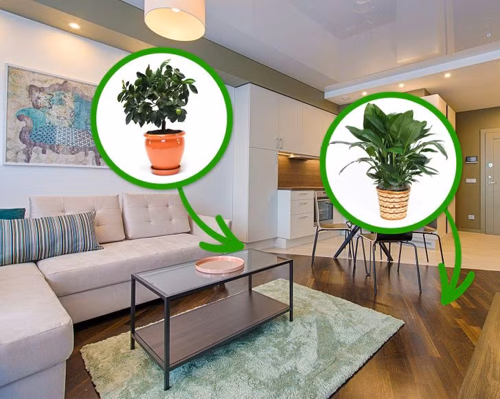 7 cách đơn giản giúp loại bỏ mùi hôi, để ngôi nhà luôn sạch sẽ thơm tho ảnh 6