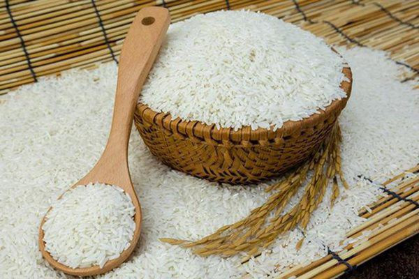Vi sao không nên dùng thùng nhựa đựng gạo? Vi sao không nên dùng thùng nhựa đựng gạo?
