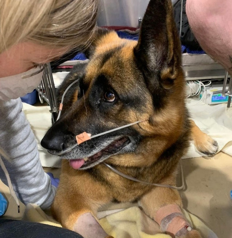 Những bức ảnh về tình yêu đích thực chạm đến trái tim ảnh 24