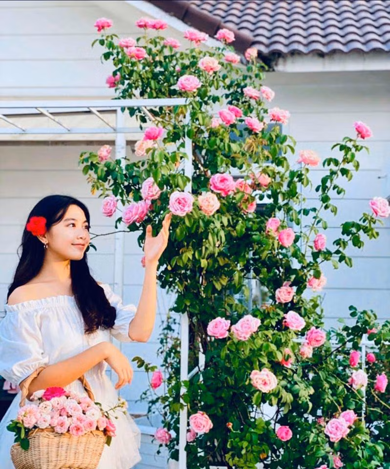 4 ái nữ nhà sao Việt dậy thì thành công, đều sở hữu nhan sắc nước nghiêng thành ảnh 2