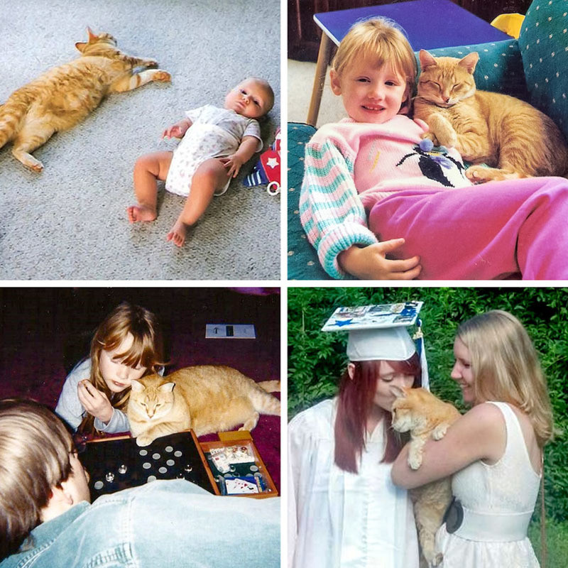 Những bức ảnh về tình yêu đích thực chạm đến trái tim ảnh 10