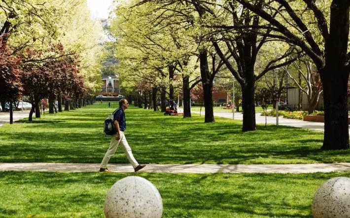 Sinh viên quốc tế có khả năng quay lại Australia vào giữa năm 2021 ảnh 1