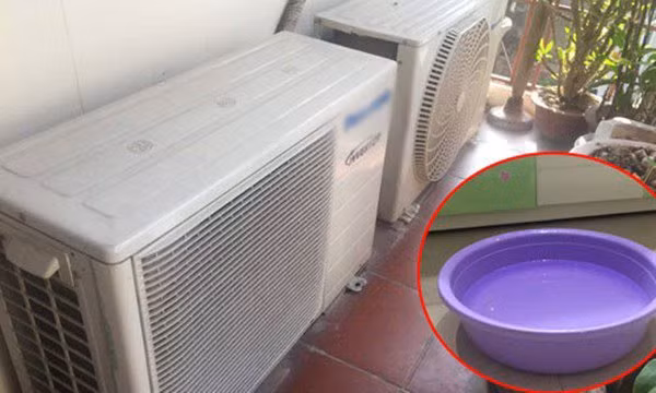  Đặt một chậu nước trong phòng điều hòa, sai lầm nhiều gia đình đang mắc phải