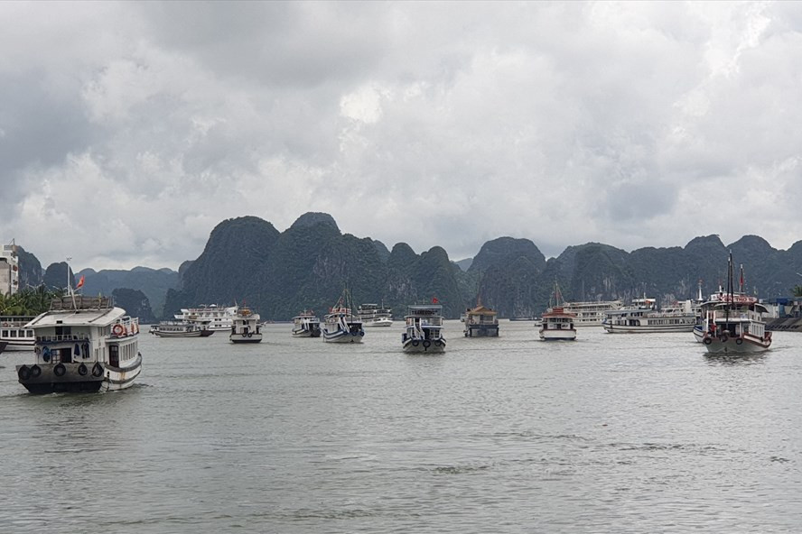 Vịnh Hạ Long thất thu khoảng 1.000 tỉ đồng vì dịch COVID-19