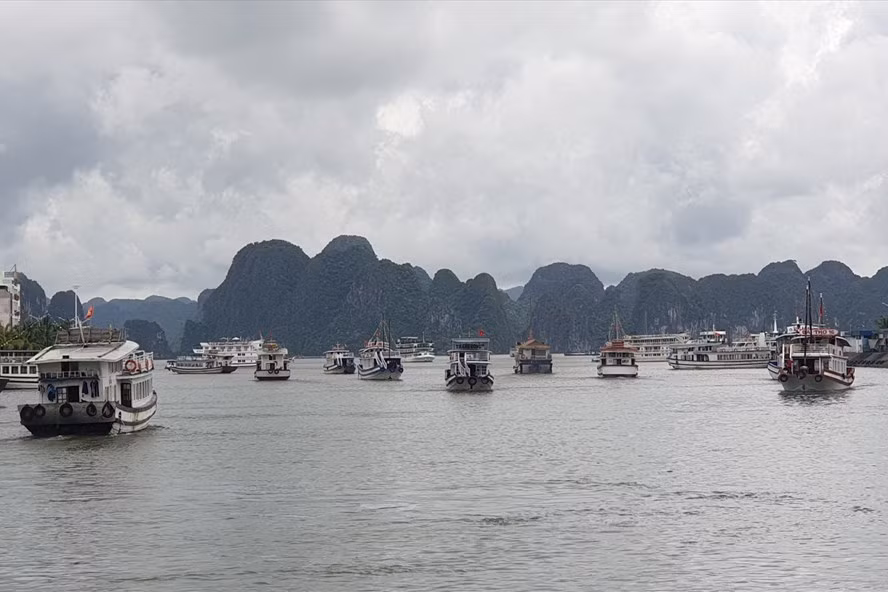Vịnh Hạ Long thất thu khoảng 1.000 tỉ đồng vì dịch COVID-19