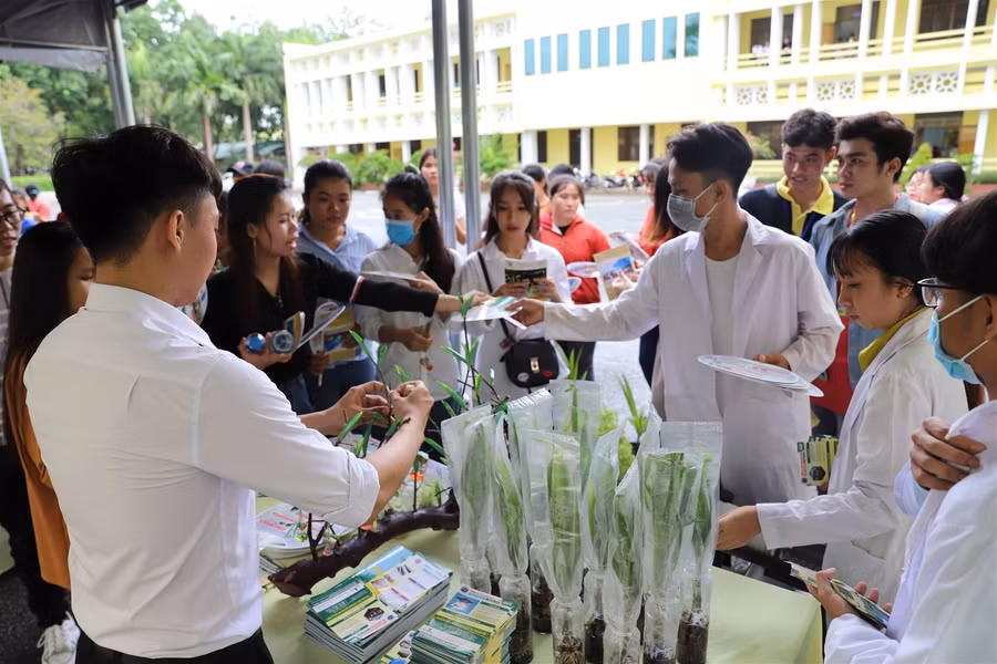 Trải nghiệm làm sinh viên tại đại học giữa lòng đô thị xanh ảnh 3